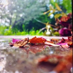 Meet your Posher, Johnny